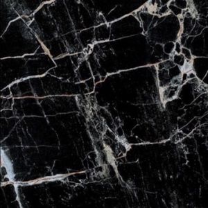 Meet your Posher, Bryanna